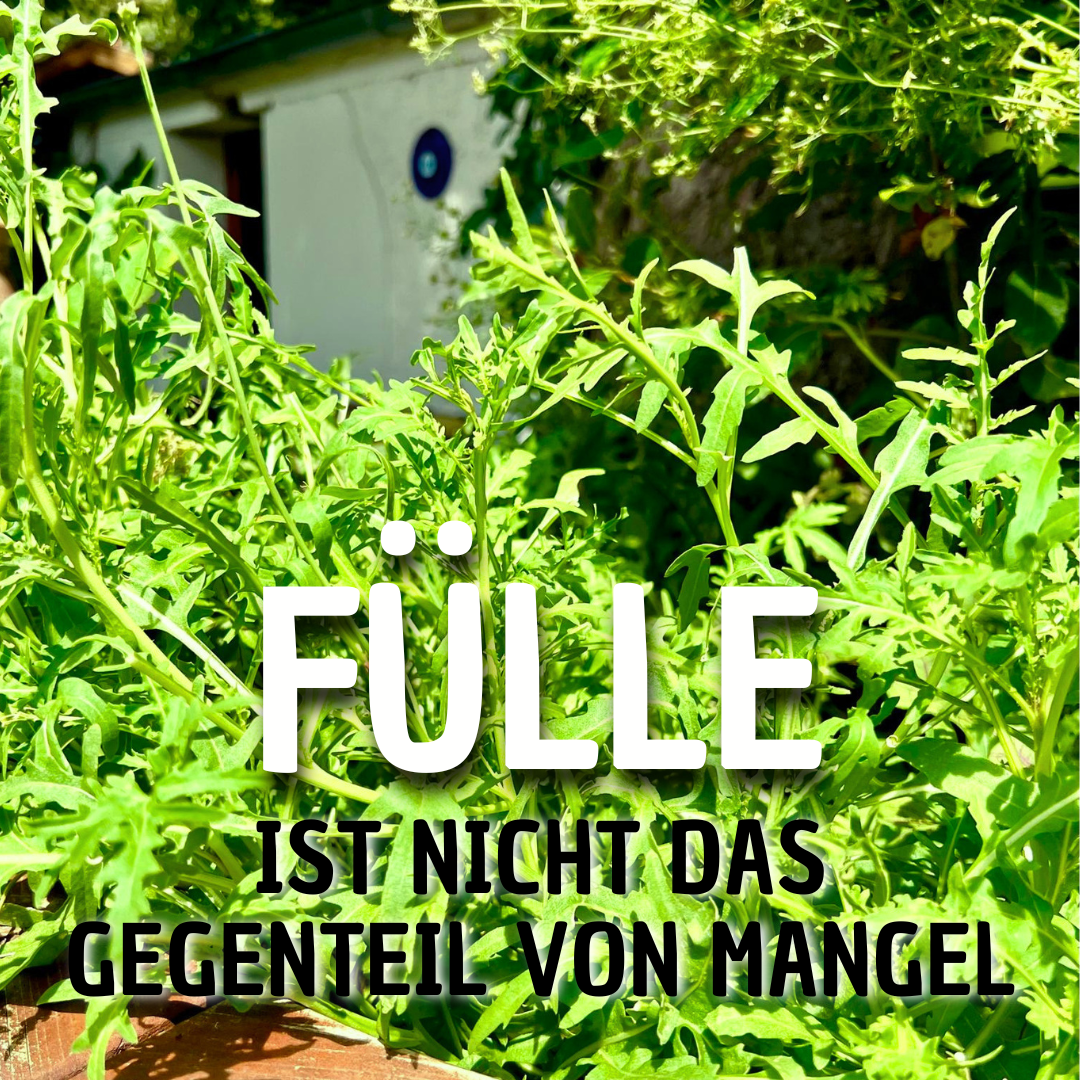 7.7. - Fülle