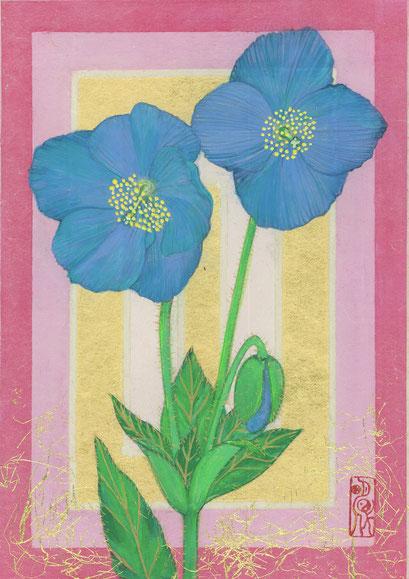 「ヒマラヤの青い芥子-花巡り-」日本画 SM(227×158㎜) 