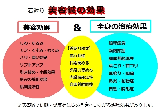 美容鍼　銀座　東京　目黒　鍼灸院