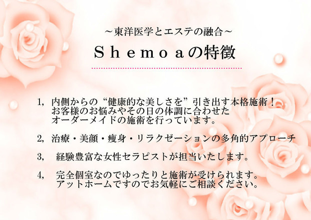 Shemoaの特徴