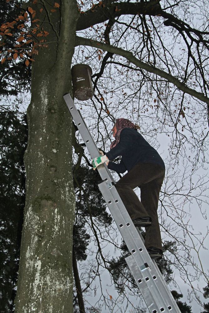 Hoch hinauf zum "Eulenkasten"