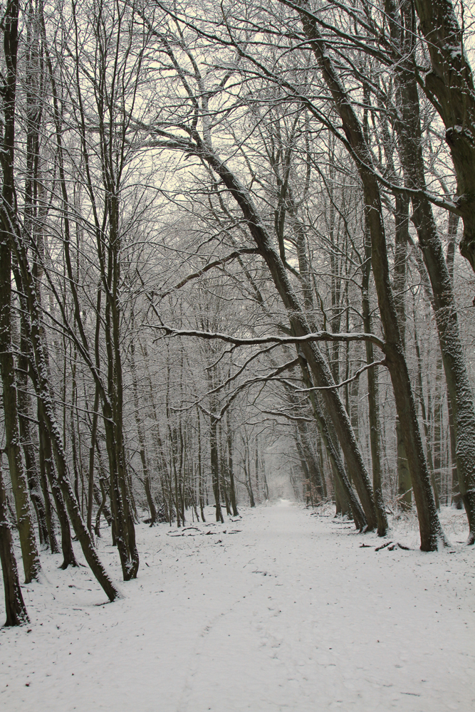 Verschneiter Rundweg