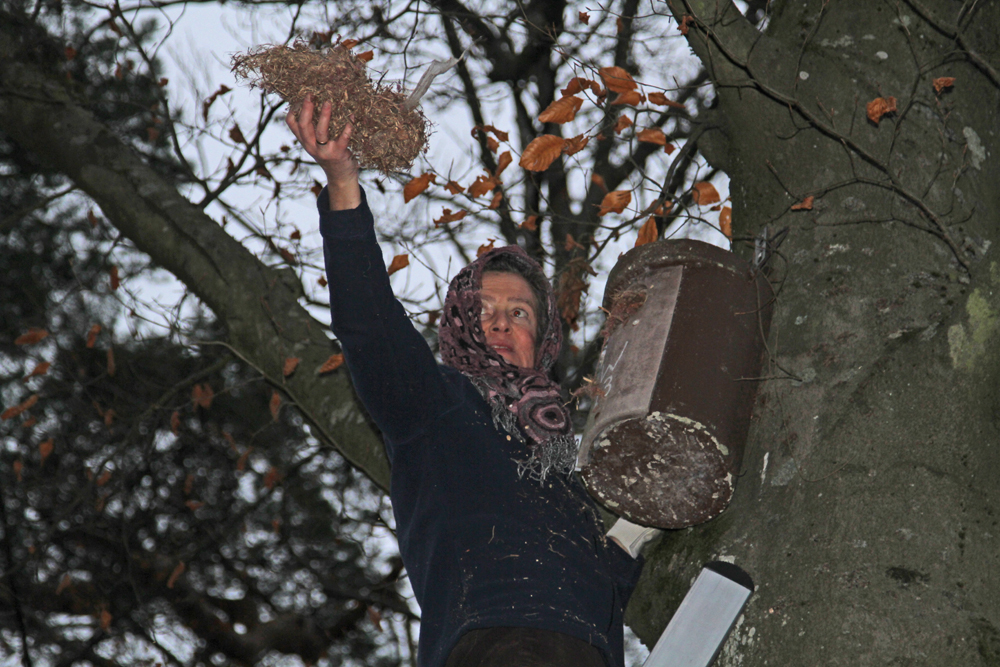 Alte Unterlage aus Blättern und Rindenmulch