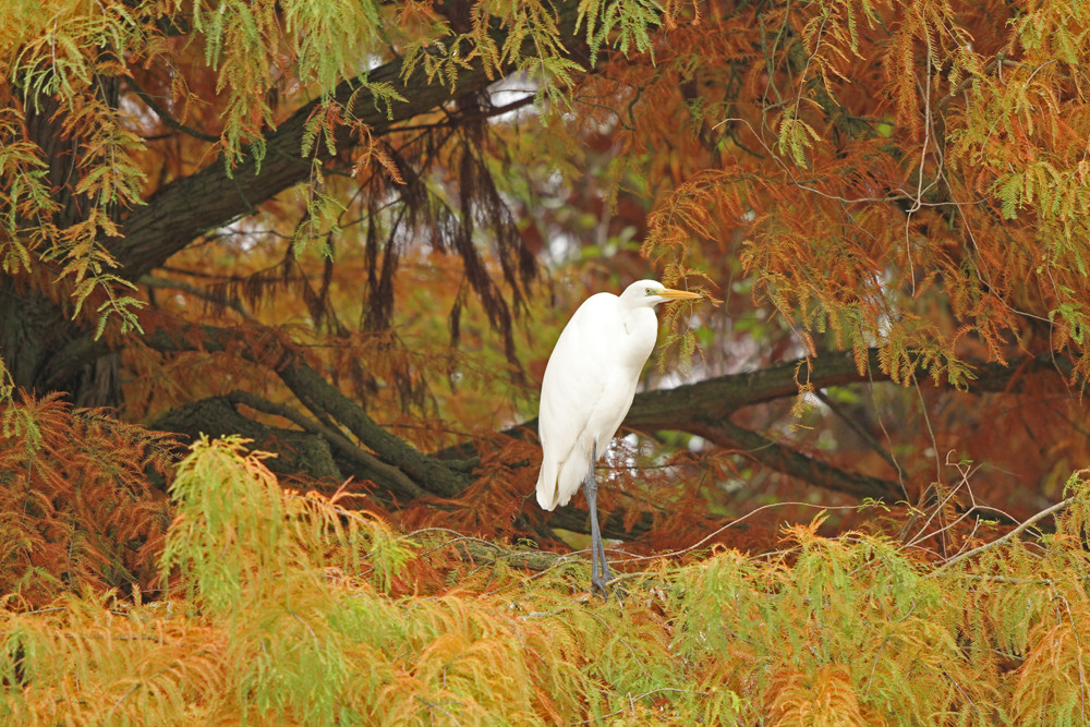 Ausruhen im Farbenspiel
