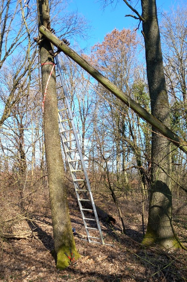 Spezieller Einsatz im Naturdenkmal Strohhauerteich