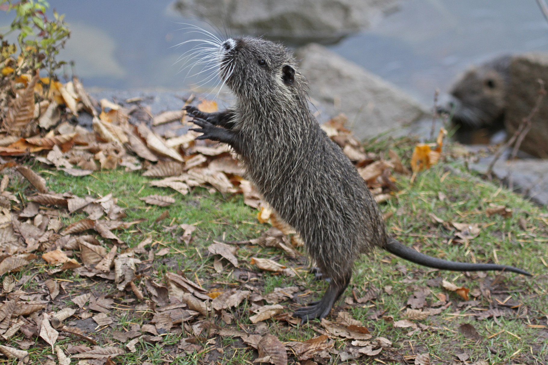 Mal sehen, was es gibt