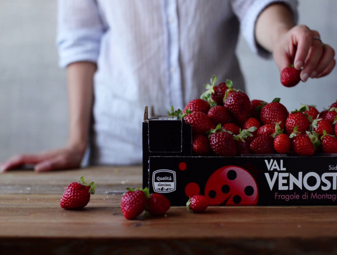 Le Fragole Val Venosta arrivano a fine giugno