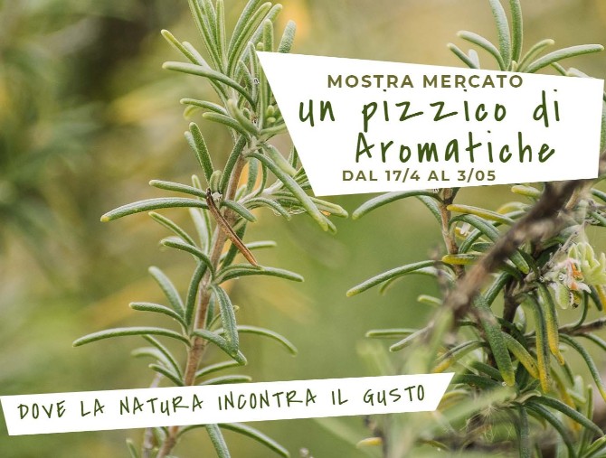 Da Steflor la mostra-mercato delle erbe aromatiche