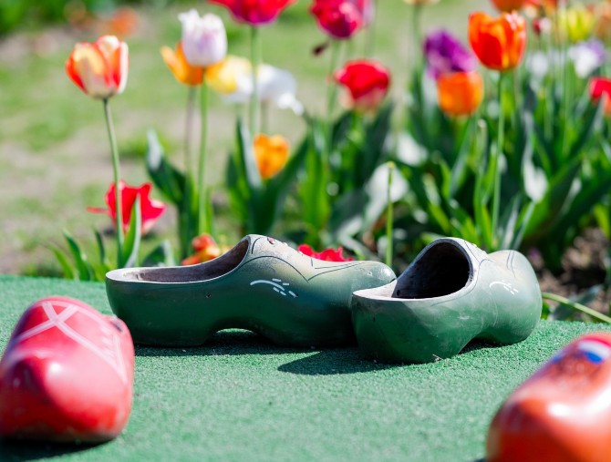 Agricola delle Meraviglie di Steflor: eventi tra i tulipani nel weekend