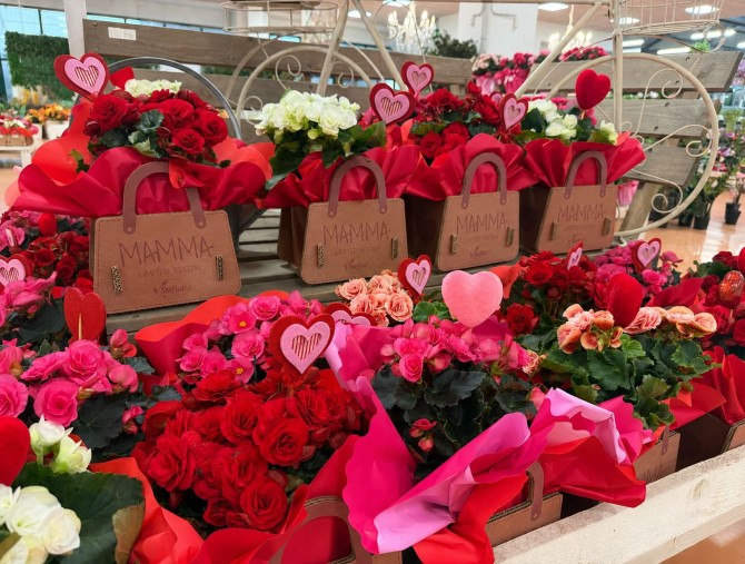 Festa della Mamma: le idee regalo Steflor