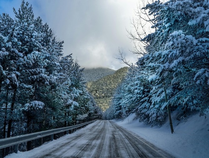 Snow hunting: la guida di CamperDays per i viaggi alla ricerca della neve