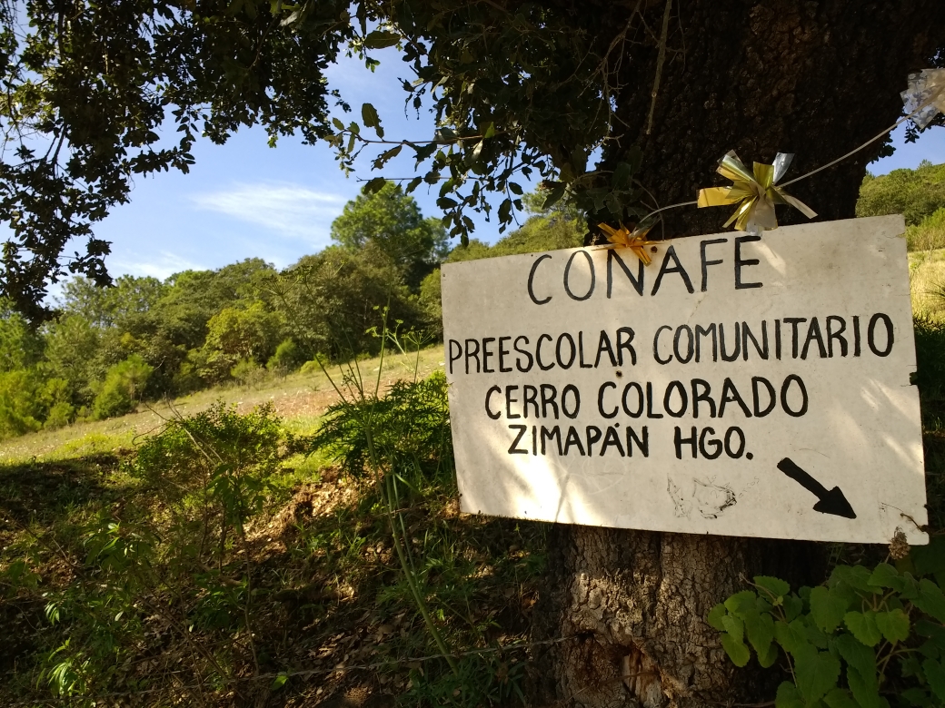 Cerro Colorado, Zimapán, Hidalgo Simple ciencia