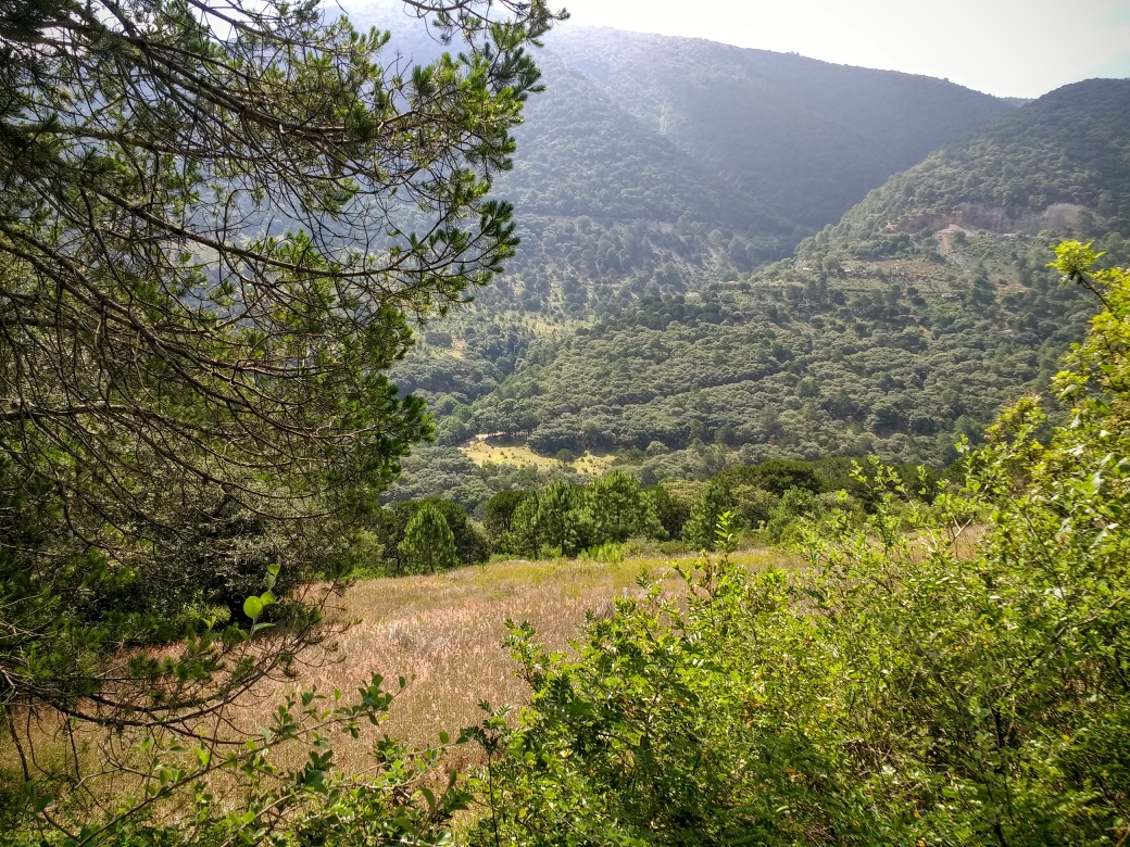 Cerro Colorado, Zimapán, Hidalgo Simple ciencia