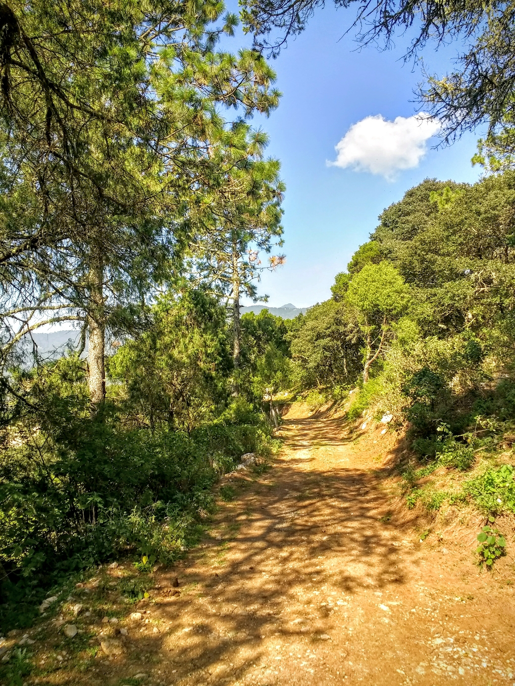Cerro Colorado, Zimapán, Hidalgo Simple ciencia