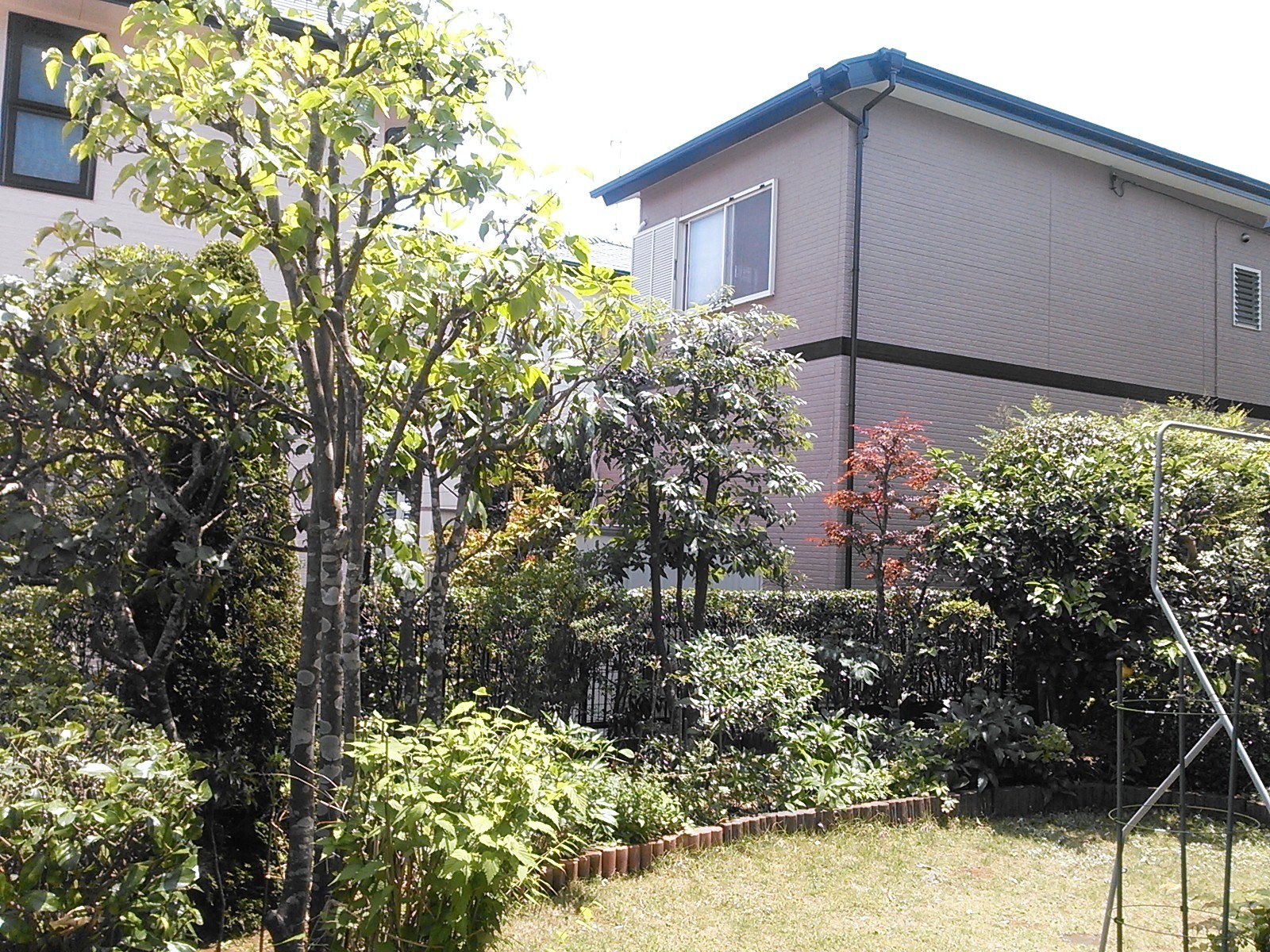千葉市あすみが丘 庭木剪定 植木屋鈴木