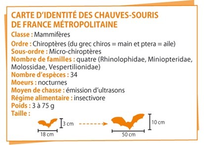 Source : DREAL Midi-Pyrénées