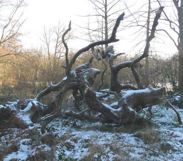 Winterruhe