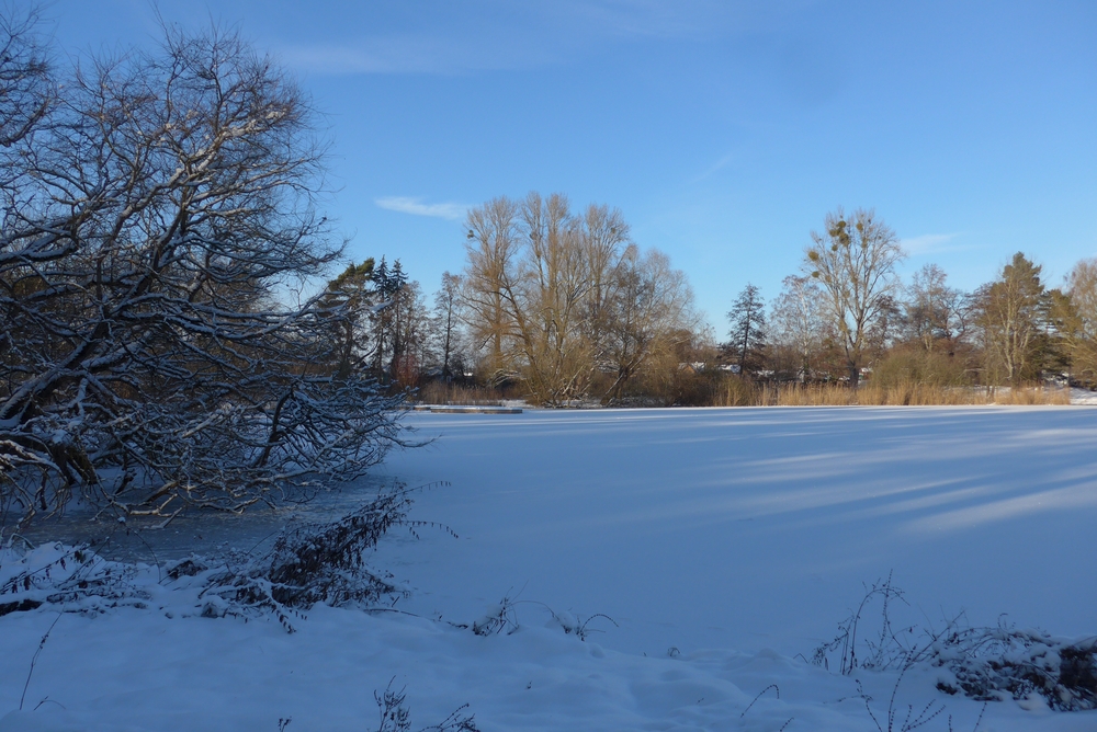Winter im Schulgarten