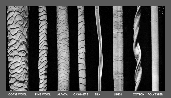 Forme longitudinale de différentes coupes vues au microscope. (de gauche à droite: laine grossière, laine fine, alpaga, cachemire, soie, lin, coton, polyester)
