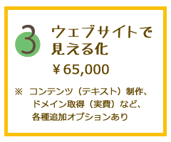 3.ウェブサイトで見える化。65000円。コンテンツ（テキスト）制作、ドメイン取得（実費）など、各種追加オプションあり。