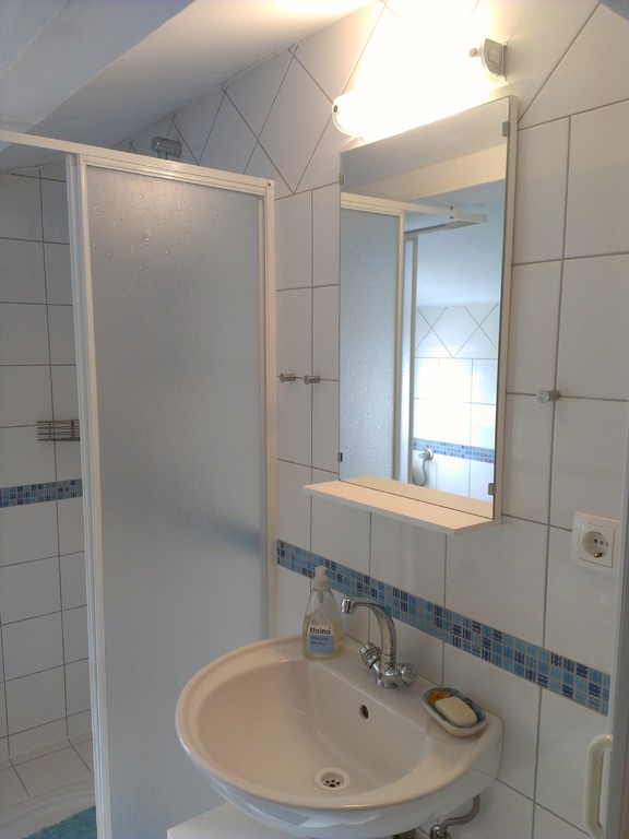 Das Bad ist ausgestattet mit einer Dusche...