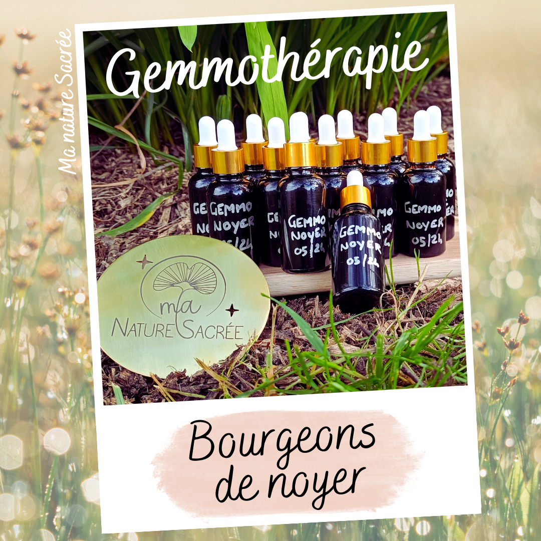 FLACONS DE BOURGEONS DE NOYER - GEMMOTHÉRAPIE