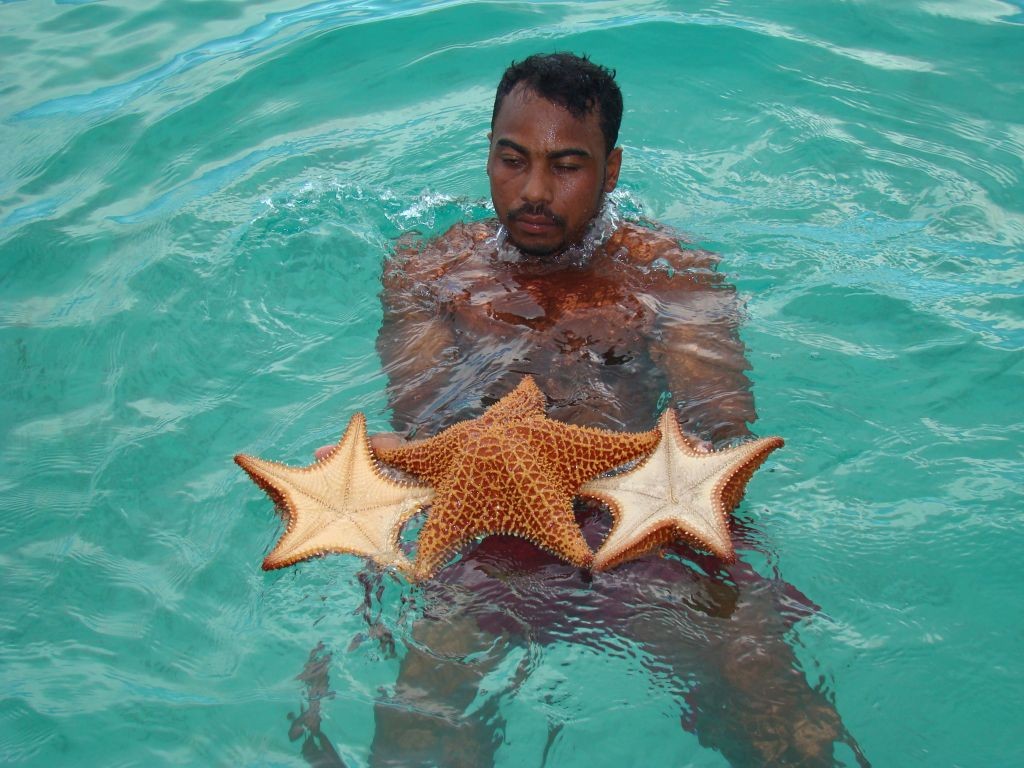 Sex contacts caribbean