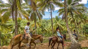 best vacation with 