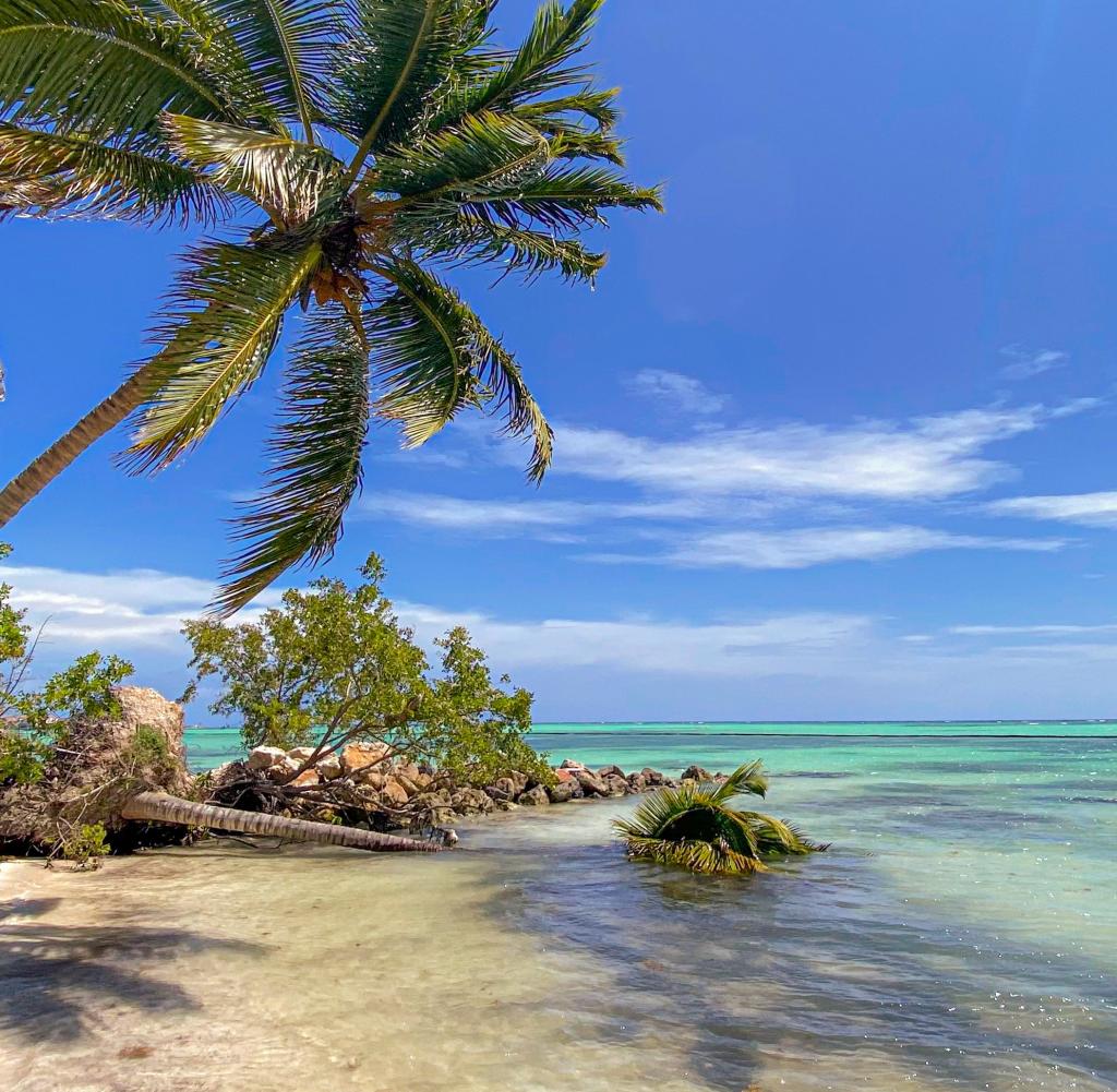 best adult vacation