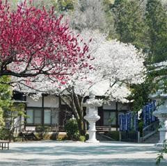 龍散寺 伊勢原会館