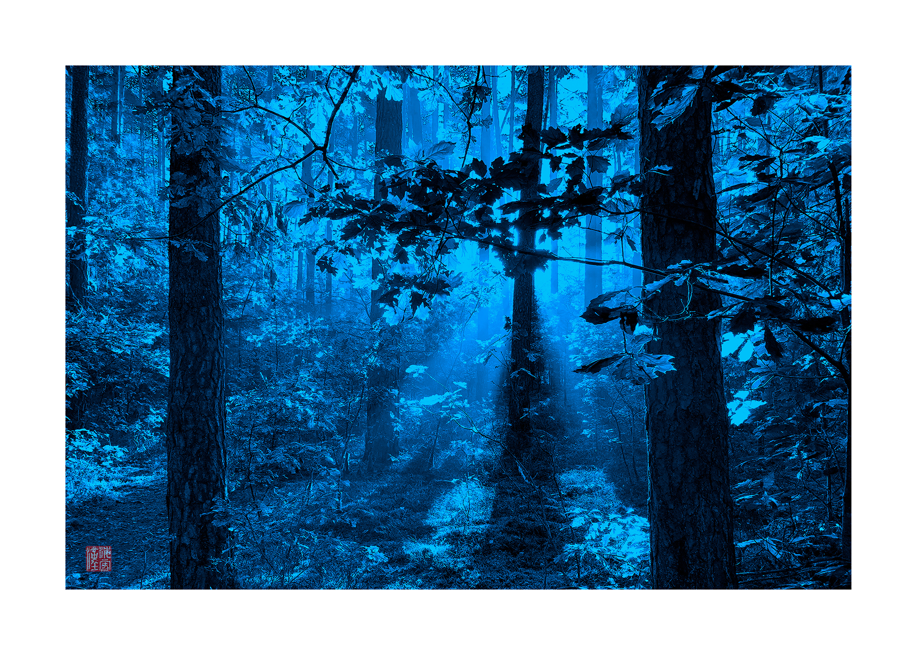#moonlight _ Serenity in a Silent Night" | 2022.