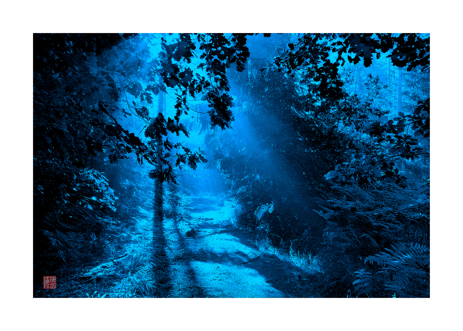 #moonlight _ Thoughts in a Silent Night. | 2022.