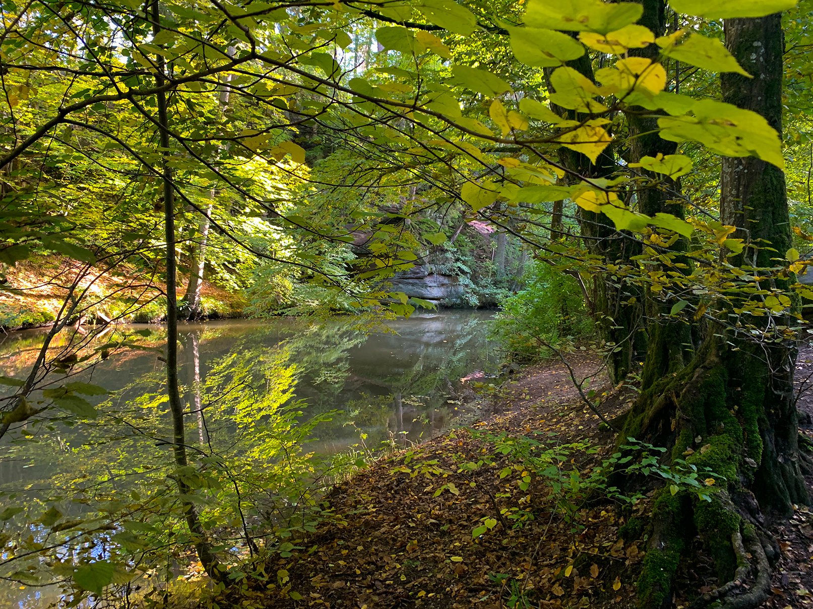 Wanderung | Schwarzachtal | Schwarzenbruck | 09.10.2022