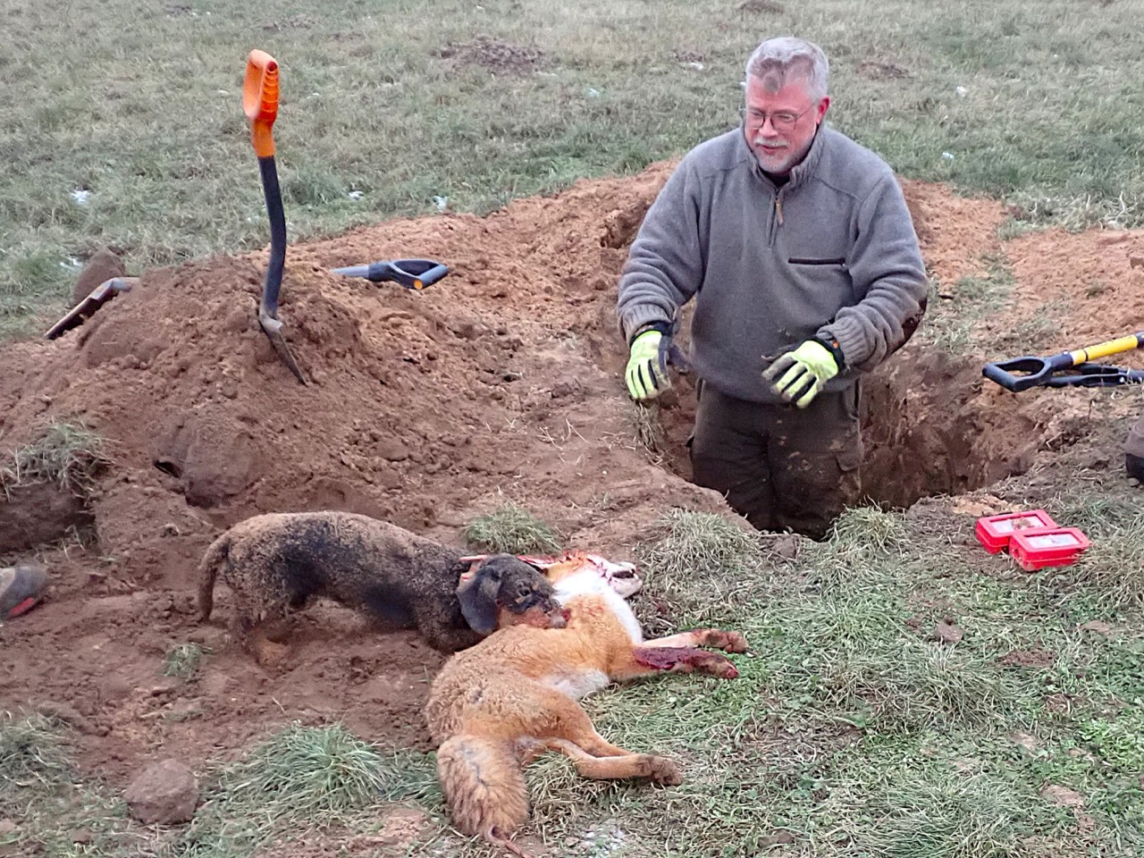Der Fuchs kam zur Strecke.