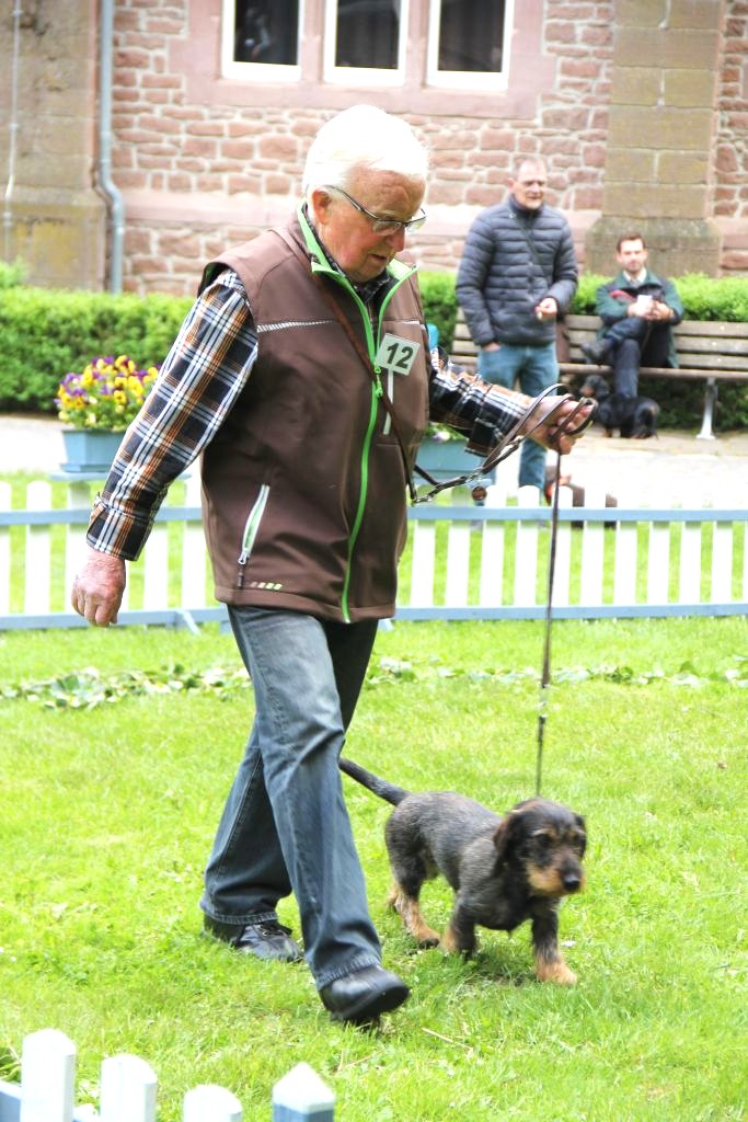 Lothar Kusian mit Xandel von der Fuchsklippe