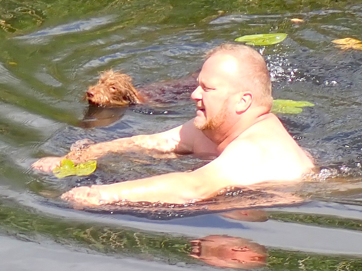 Ganz anders ist das bei David und Zornröschen.