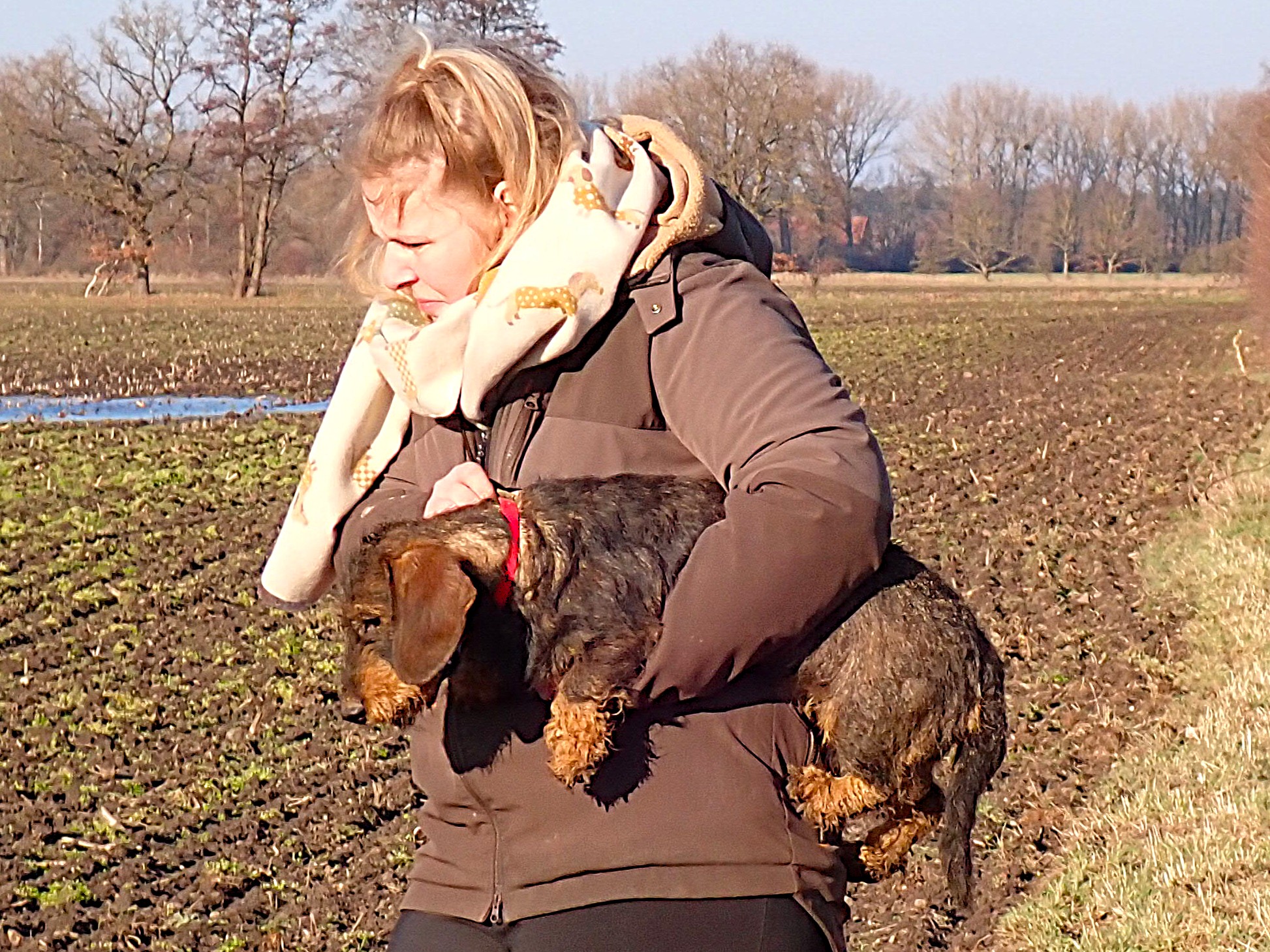 Der Hund wird abgenommen.