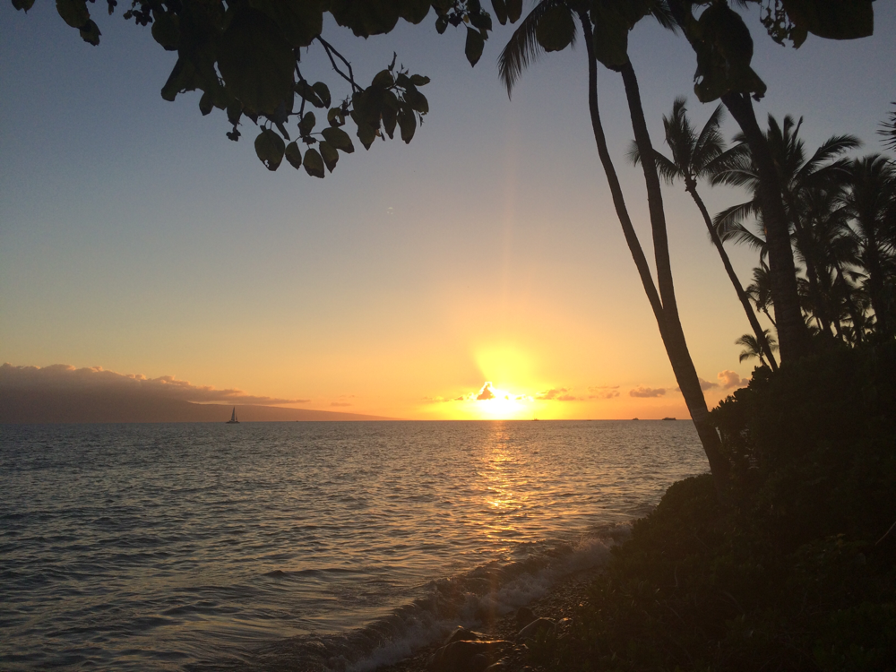 Maui I - steffi-usas Webseite!