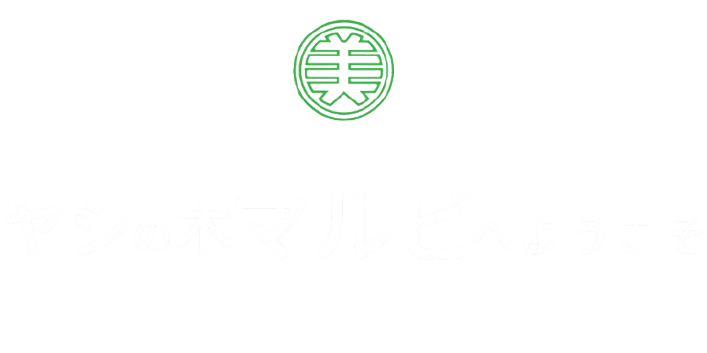 ワシントンヤシ - ヤシの木 マルビ造園 浜松市 へようこそ