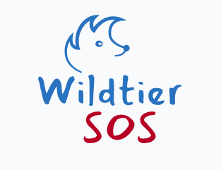 Wildtier gefunden - was tun? Die Wildtier-SOS-App hilft