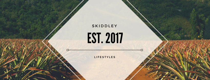 Lifestyle Cycles Skiddley