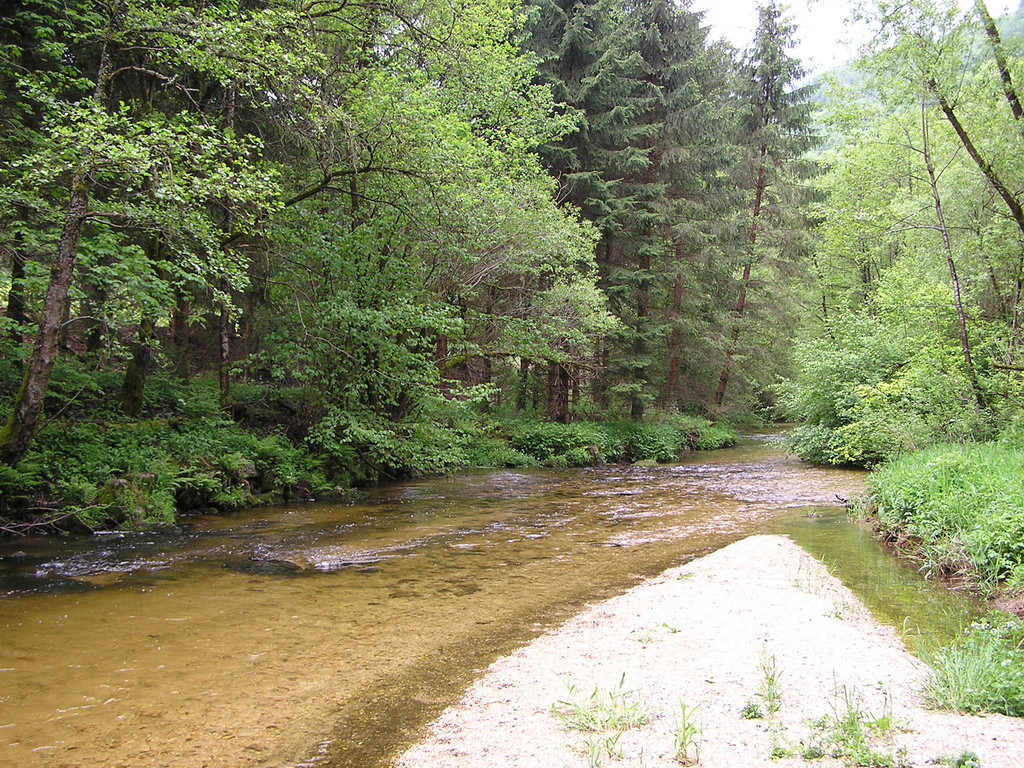Naarn bei Pierbach (Oberösterreich) Andreas Sperl Faszination