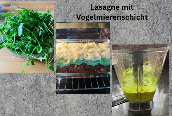 Lasagne mit Vogelmiere