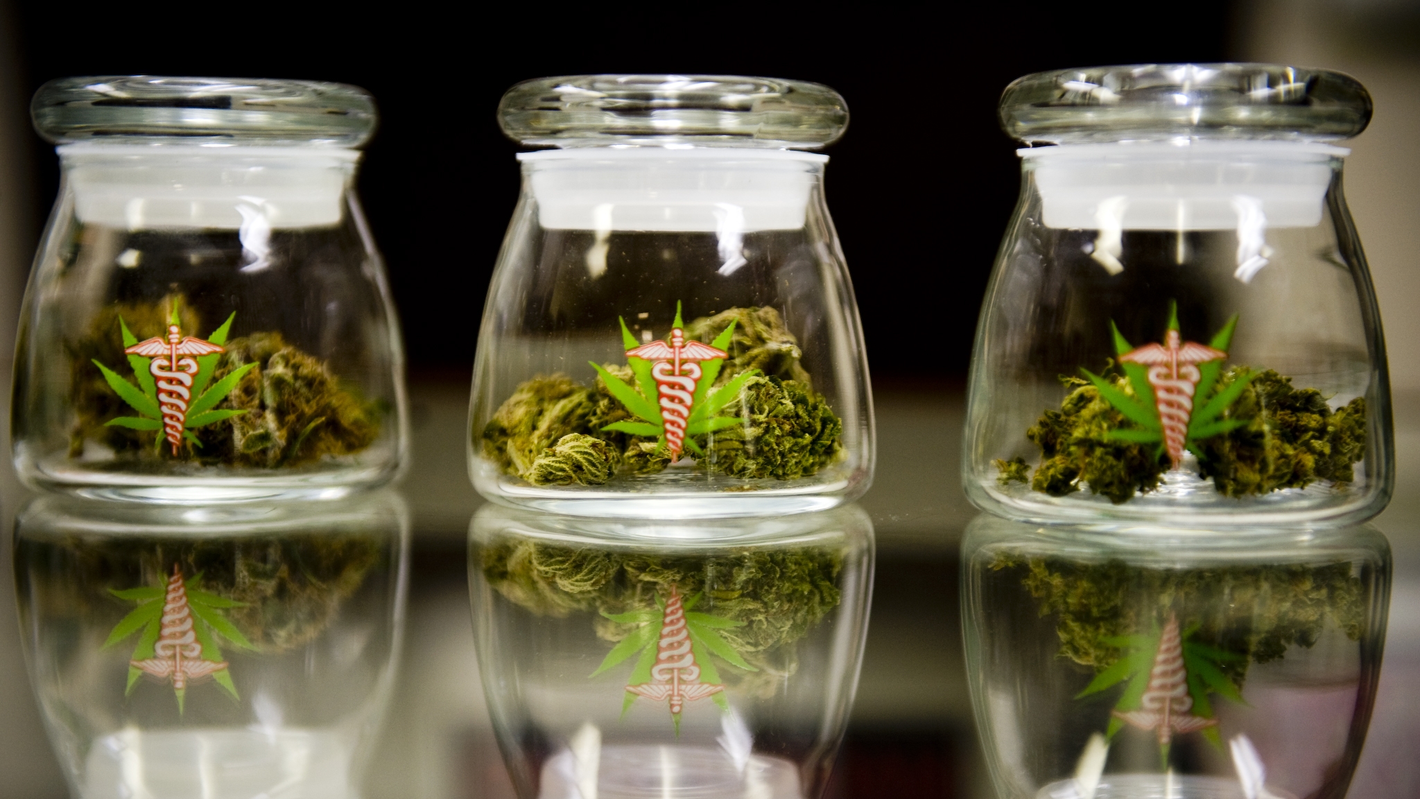 Cannabis richtig Lagern Cannabis & Hanf Anbau Growguide