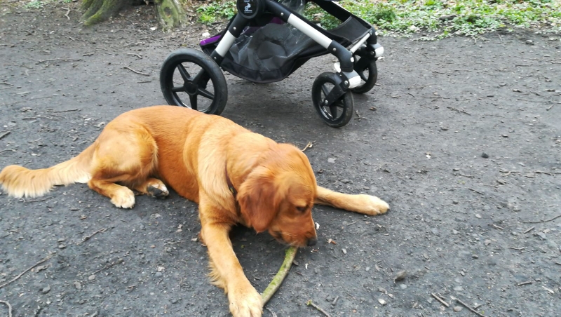 Bodhi Paule im März 2019. Sie findet den Familienzuwachs prima. 