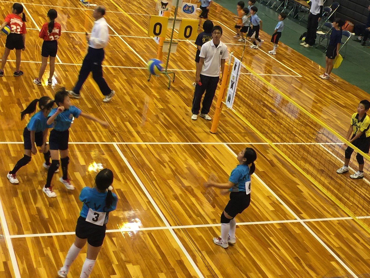 熊本バレーボールクラブ jimdo