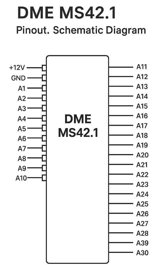 DME MS42.1 Pinout. Schematic Diagram