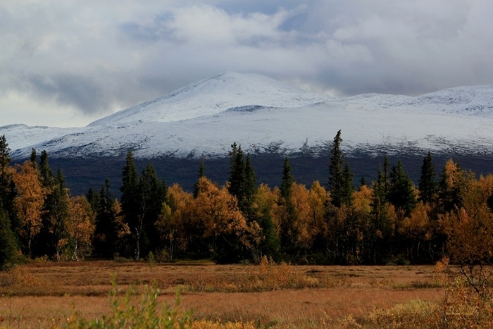 Snasahögarne von Storlien/Storvallen aus