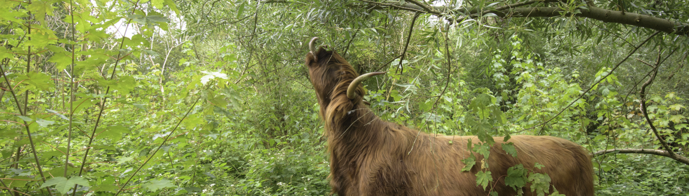 Natuur is geen onland