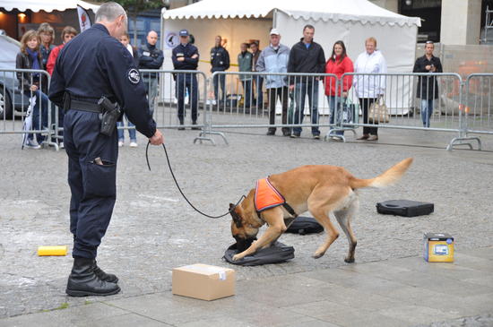 Recherche de stupéfiants - Police